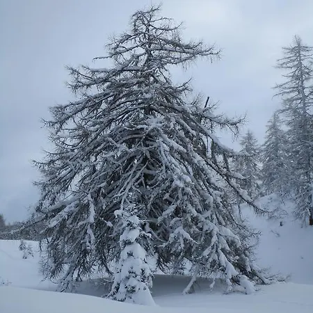 Oberbachhof דירה